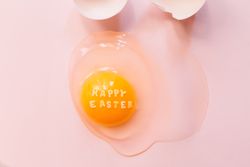 Fresh broken chicken egg with eggshell