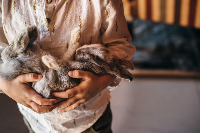 Charming boy with furry bunny