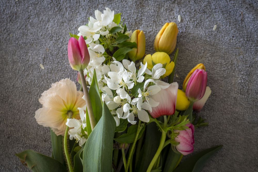 Bouquet of flowers on ground