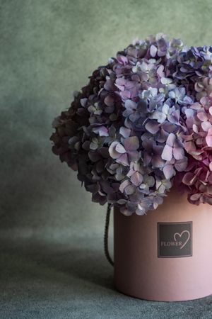 Fresh violet pastel summer floral box