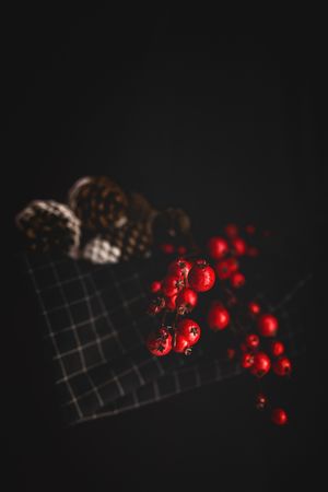 Painted conifer cones in bowl