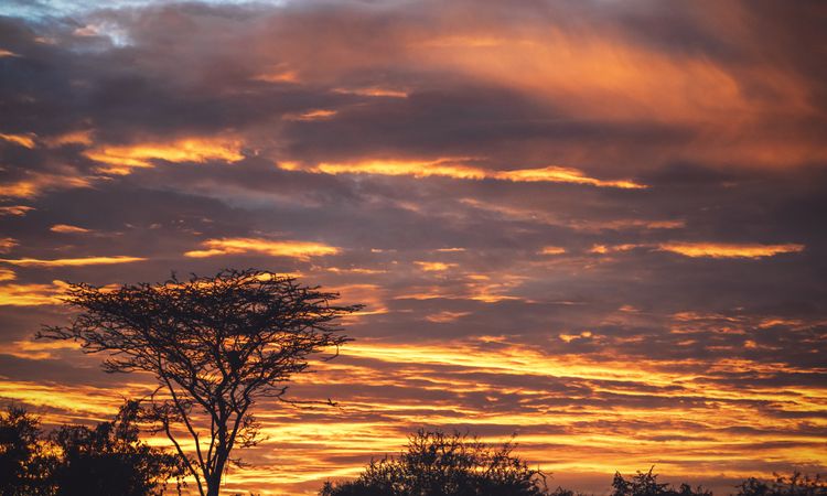 Majestic sunset sky in tropical land