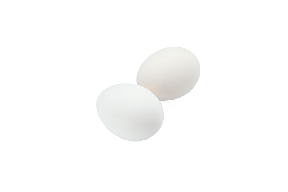 chicken eggs isolated on plain background