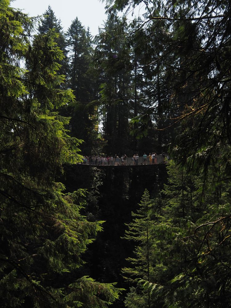 Capilano Suspension Bridge