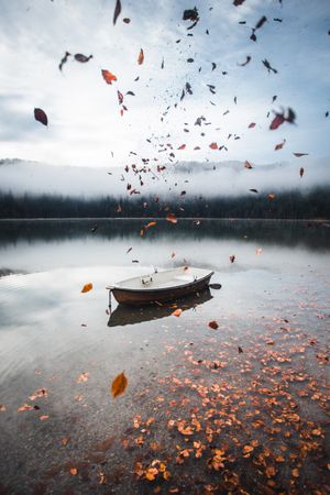 Boat and dried leaves falling on a lake
