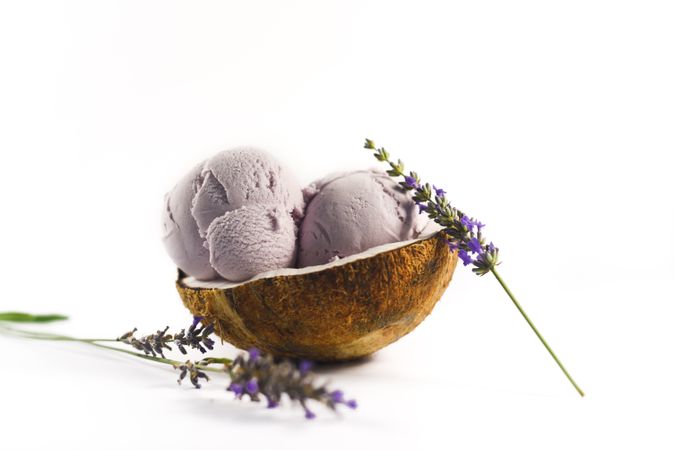 Side view of coconut shell with purple ice cream and pieces of lavender flowers