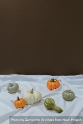 Retro styled autumn still life arrangement with squashes on light sheet and brown background 48JO70