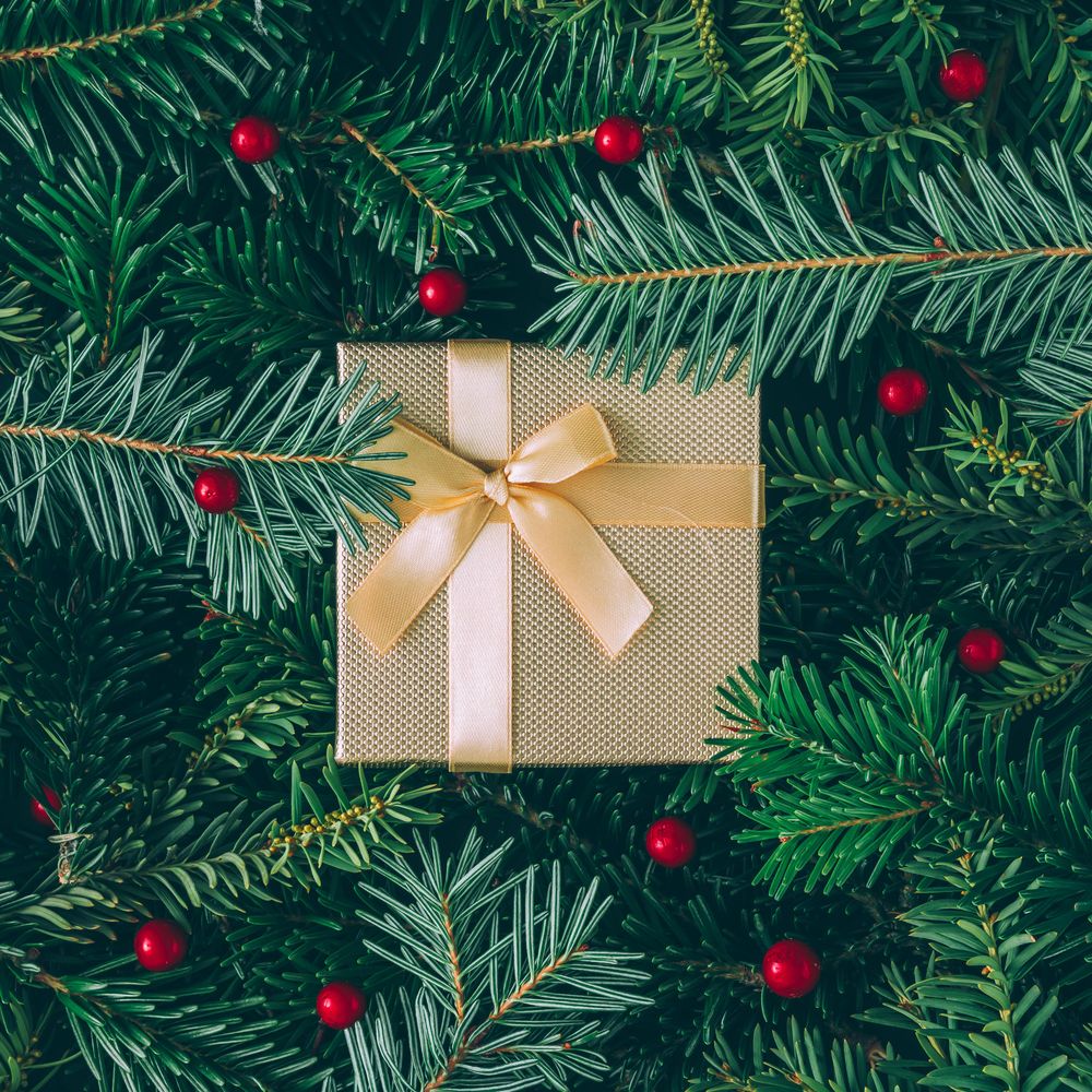Christmas pine tree and holly branches with brown present with ribbon