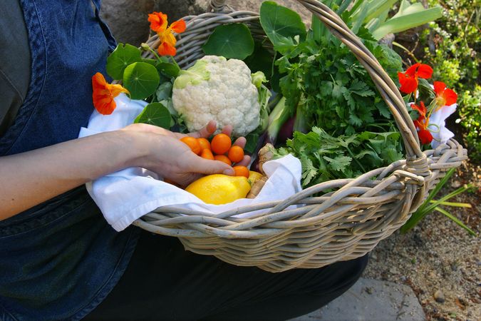 Person holding basket with vegetables