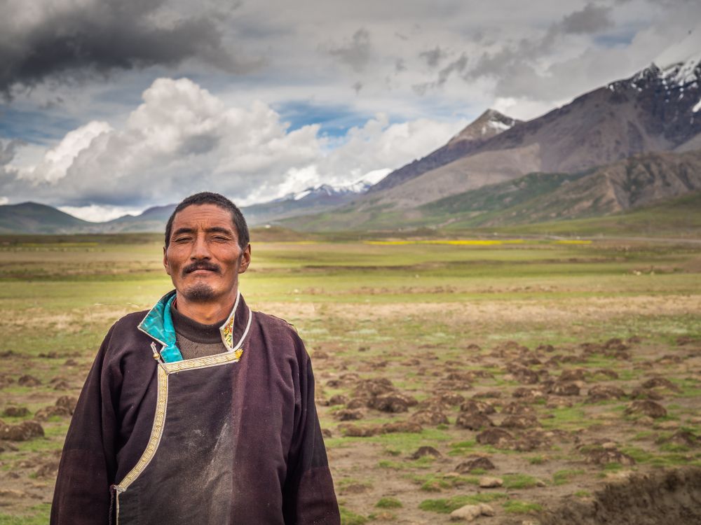 Tibet - August, 29 2014: Tibetan shepherd near cows in valley