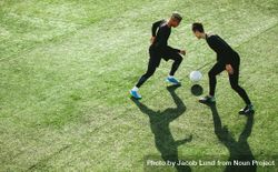 Young soccer players playing on the sports grass field 49q1y4