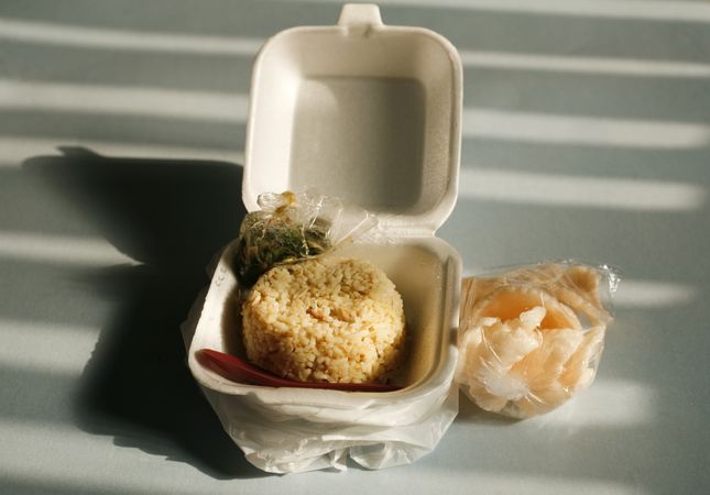 Rice lunch in a to go box
