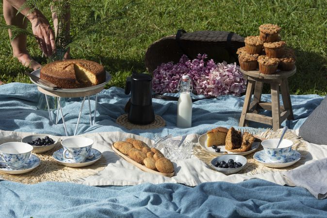 Tea party with deserts on blanket at summer garden