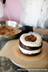 Round chocolate cake with vanilla icing 48QAKb