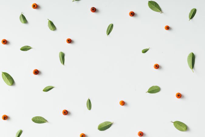 Coffee fruit and leaf pattern on light background