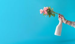 Hand holding cleaning spray bottle with tulips