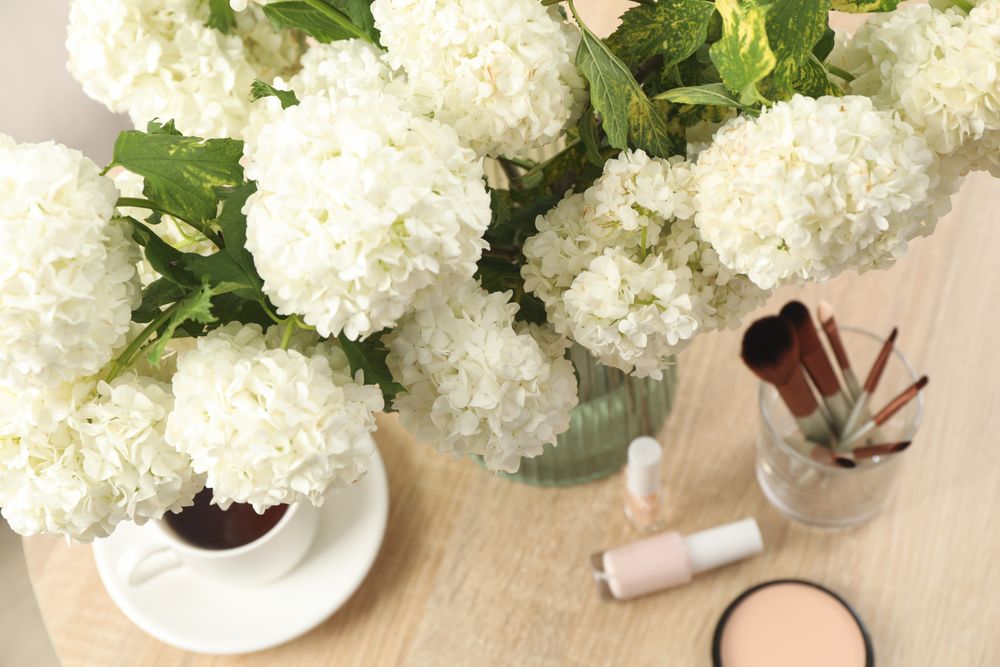 Composition with hydrangea flowers, cup of coffee and cosmetics. Spring plant