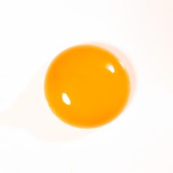 Egg yolk on light background