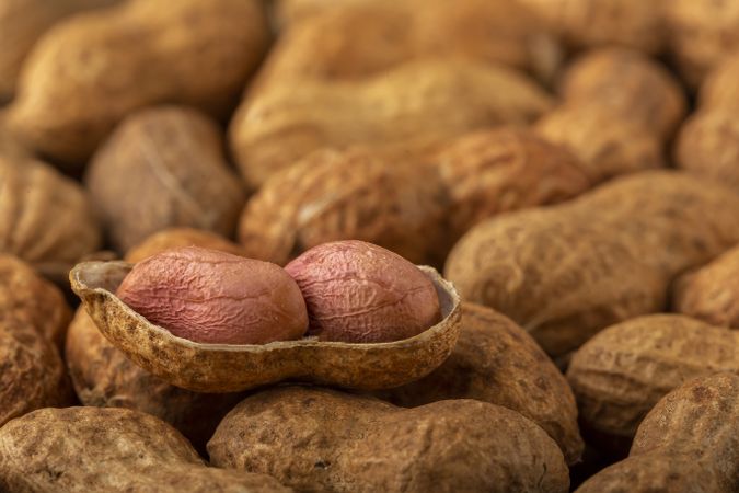 Dry peanut on the wooden background.
