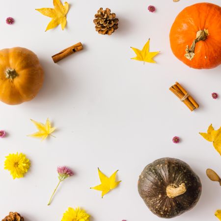 Colorful autumn pattern made of pumpkins, leaves and flowers