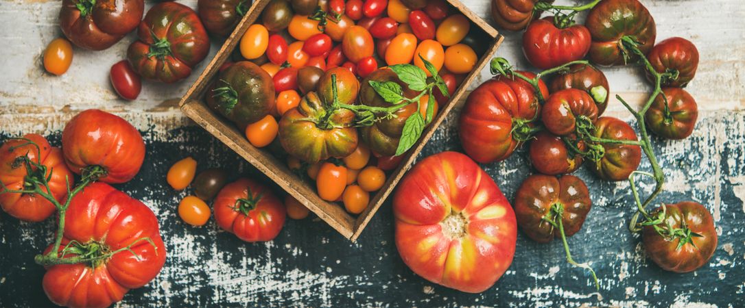 Assortment of different tomatoes, large to small and green to red, horizontal composition