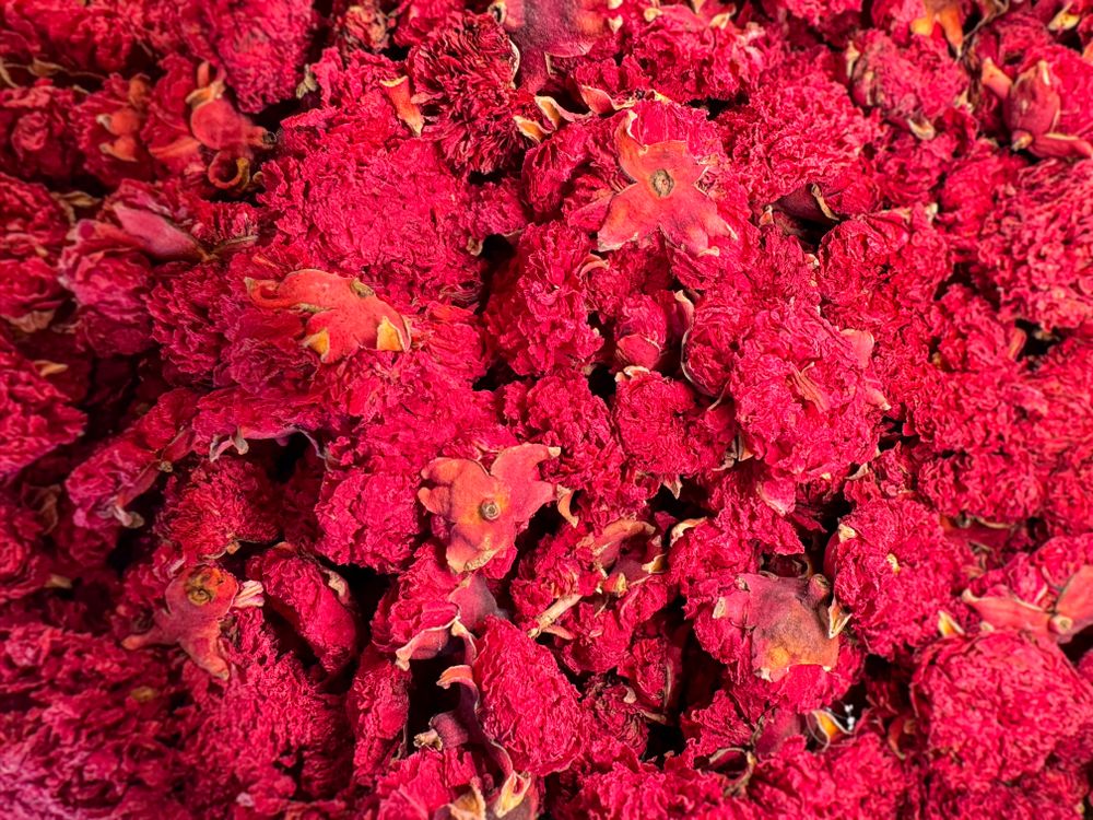 Pomegranate rose tea close up