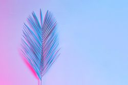 Tropical palm leaf in vibrant gradient holographic colors