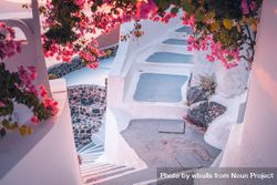 Narrow stair walkway with bougainvillea flowers in Greece 56Jne5