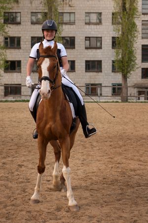 Frontal view of dressage rider on chestnut horse in city arena
