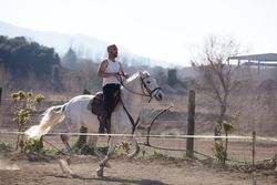 Man in casual riding outfit galloping on horse