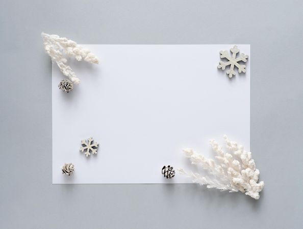 Winter decorations on light background