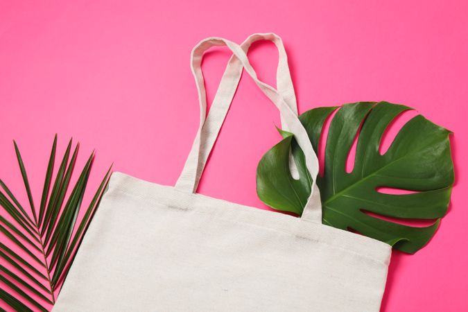Eco bag and palm leaves on color background, copy space