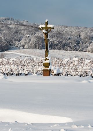 Alsace vineyards under heavy snow on a sunny winter day. Details and top view.