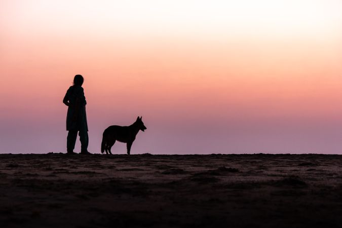 Silhouette photo of person and dog walking on soil during sunset