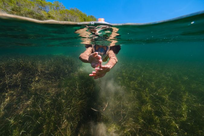 Anonymous person diving in transparent ocean