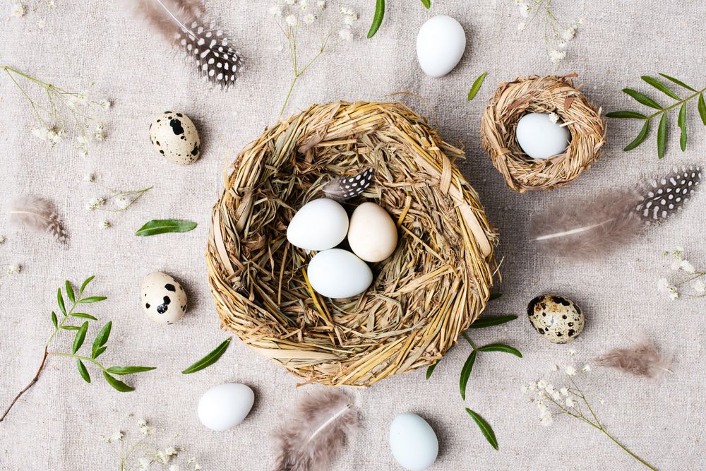 Top view of birds nest with eggs on beige fabric