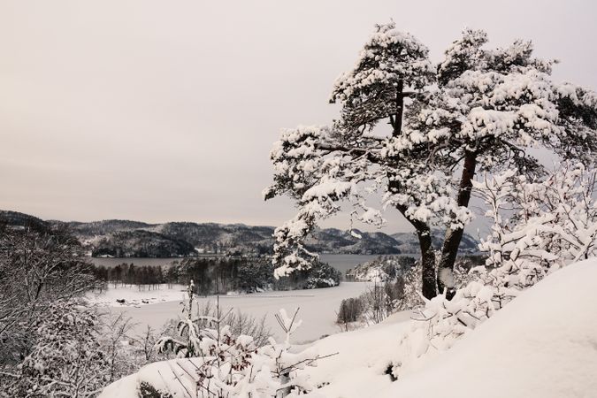 Snowy peaceful mountain valley at shore