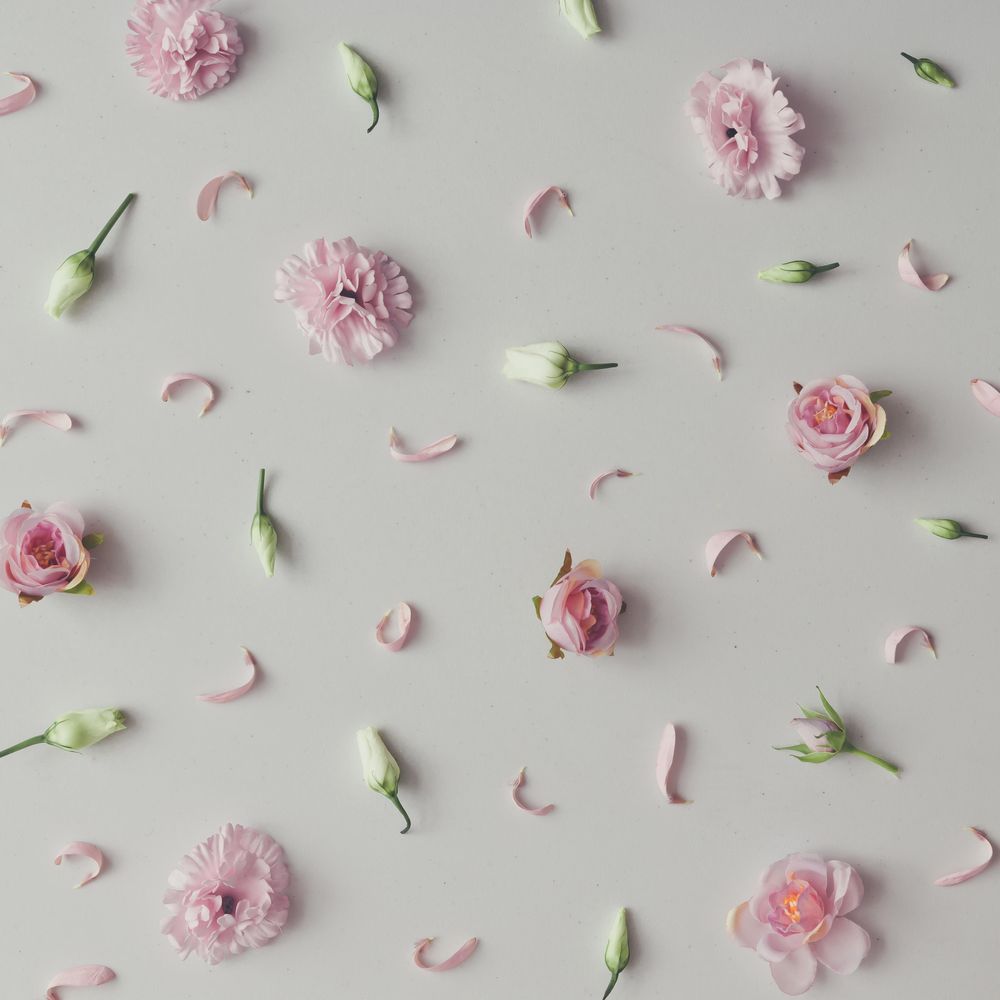 Flowers and leaves on marble background