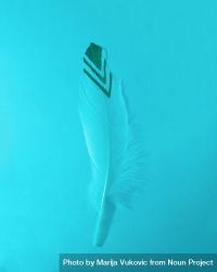 Feather with chevron pattern on blue background 41wpj0