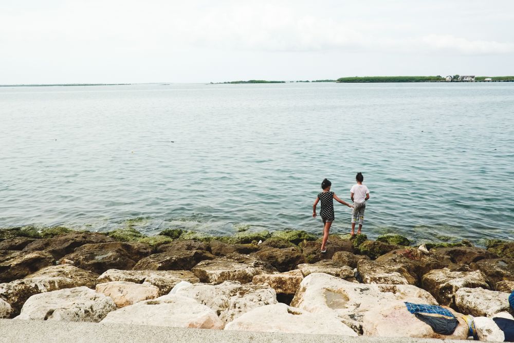 Back view of two children standing on rocky seashore