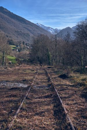 Rusty railroad tracks overgrown with grass in countryside