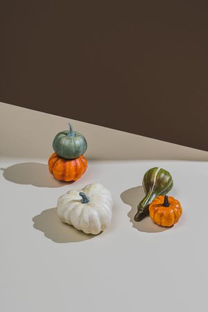 Autumnal retro still life with variety of squashes