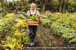 Young female farmer holding a box with fresh produce while walking through her vegetable garden 48DkZ4