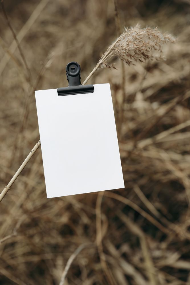 Greeting card, invitation mockup clipped on dry reed stem