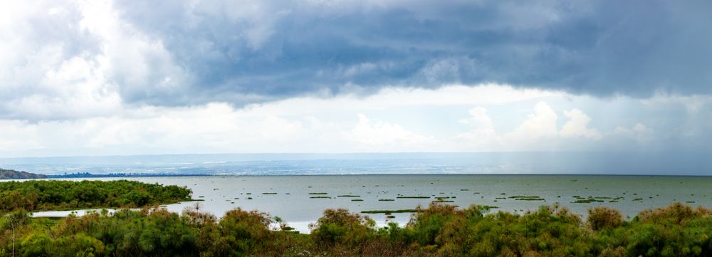Lake Naivasha Nakuru City County Kenya East Africa Landscapes