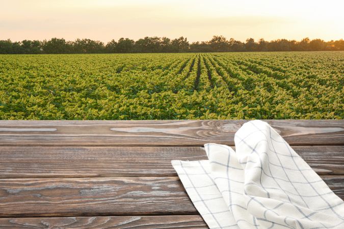 Wooden table with towel against field. Agriculture concept