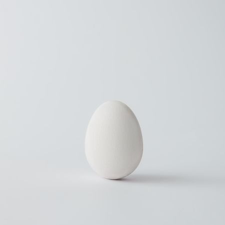 Minimal plain egg on light background