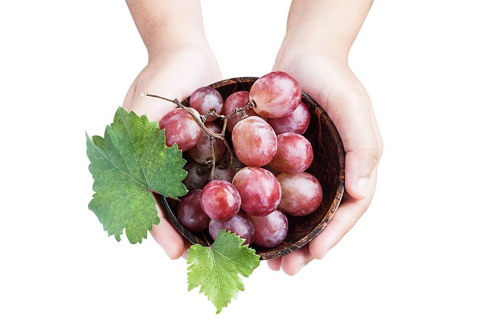 asian woman holding wooden bowl, bunch grape and leaves isolated on plain background