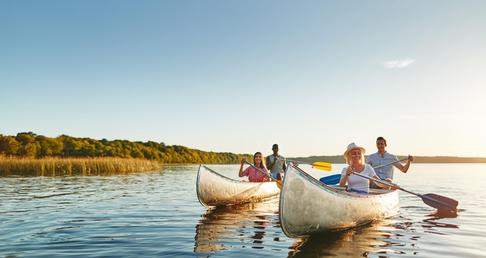 Two couples enjoying a canoeing trip