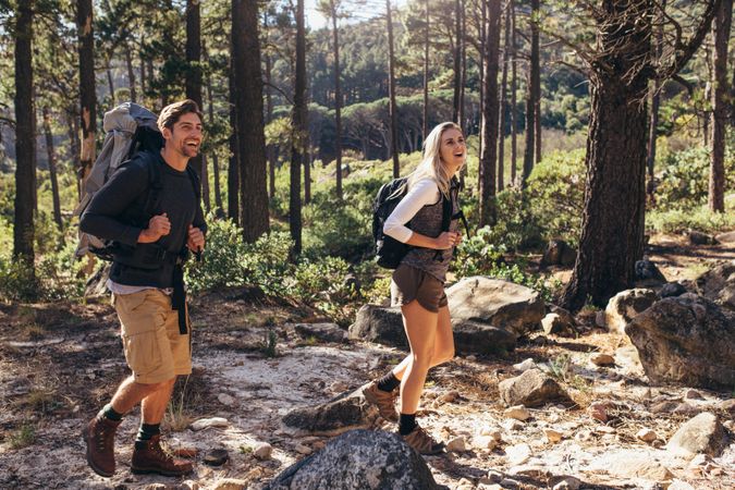 Hikers enjoying trekking on forest trail